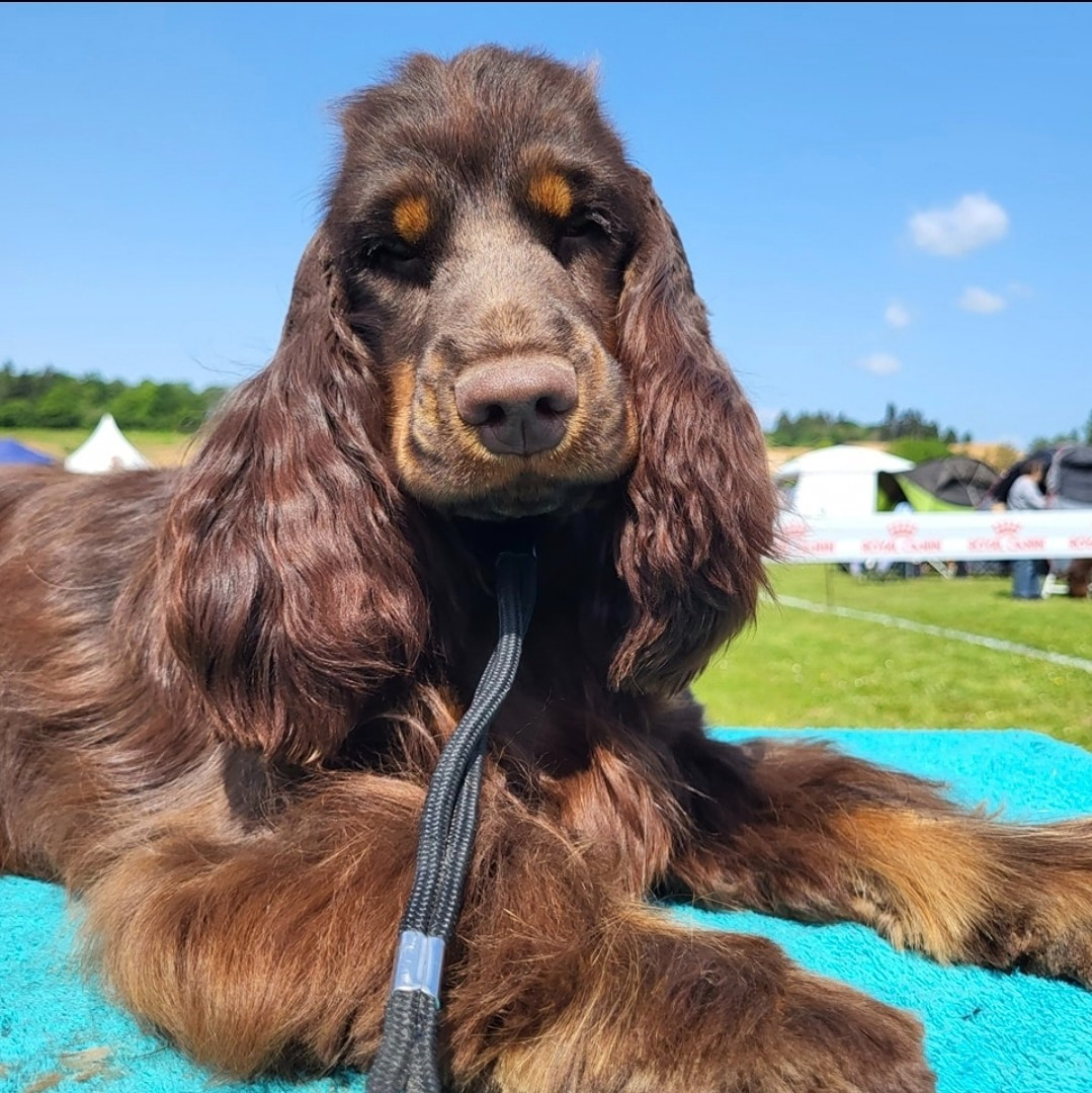 The memory a my mother Du Domaine D'hakyna