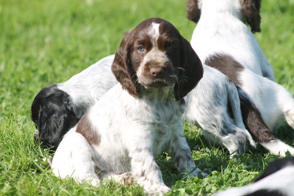 Valyna Du Domaine D'hakyna